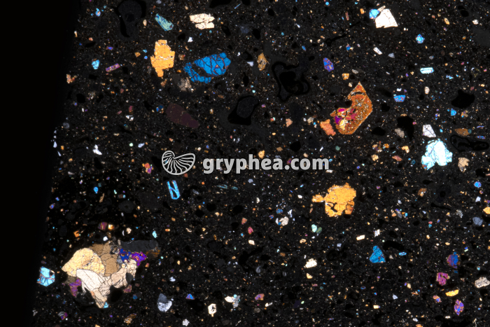 Basalte LPA x3 - gryphea.org